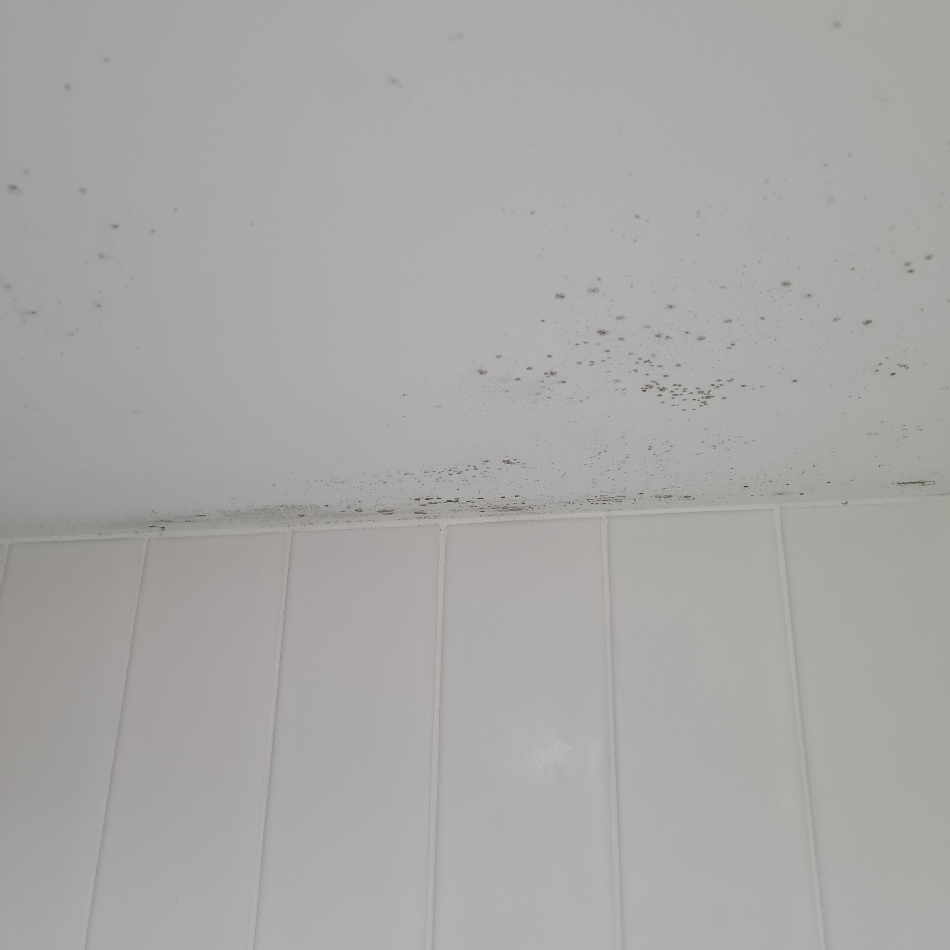 真言水上度假村 酒店-官方