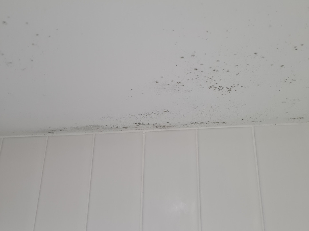 真言水上度假村 酒店主图