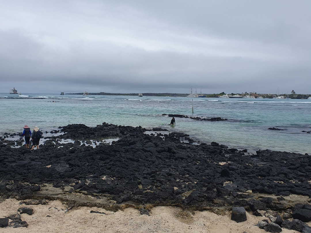 Playa de La Estacion-阿约拉港必去景点