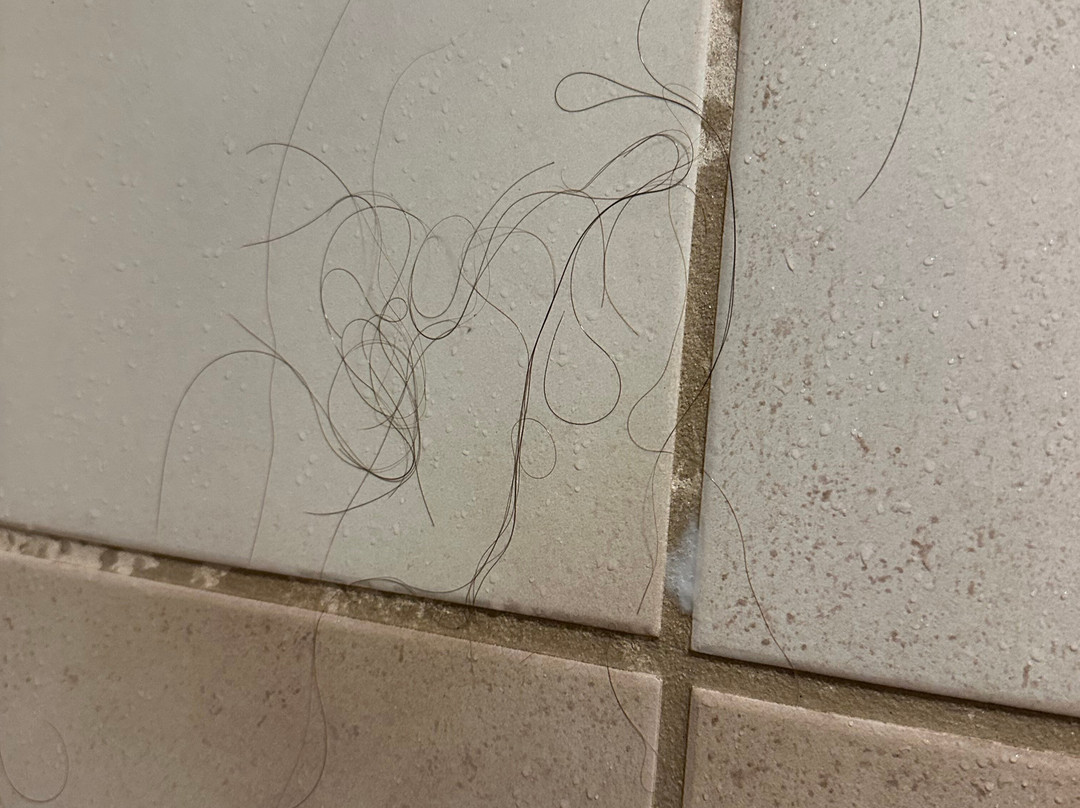 Superior Shores Resort主图