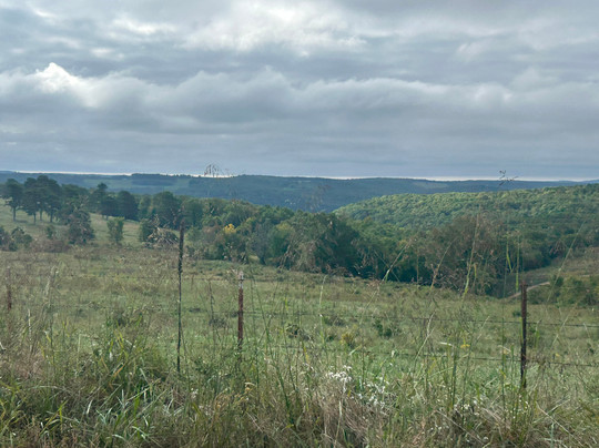 Wilderness Rider Buffalo Ranch & Adventure Park-Kingston必去景点