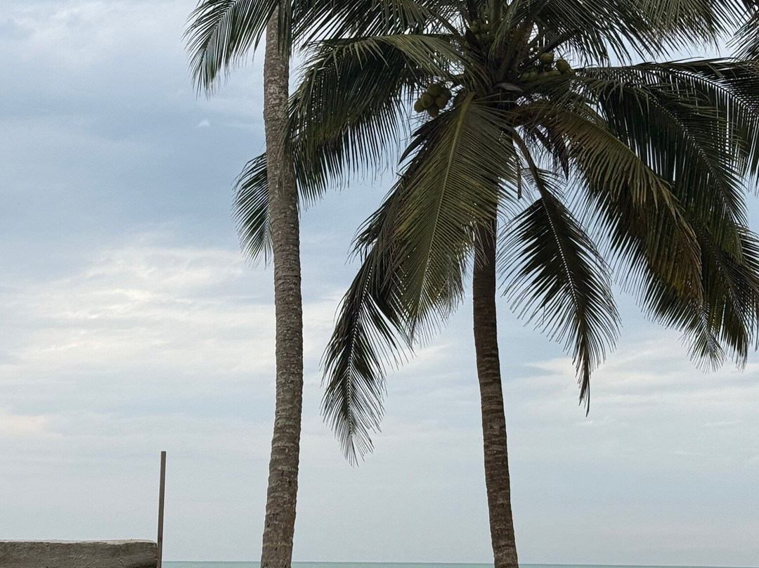 Loshe's Surf Cape Three Points-Cape Three Points必去景点