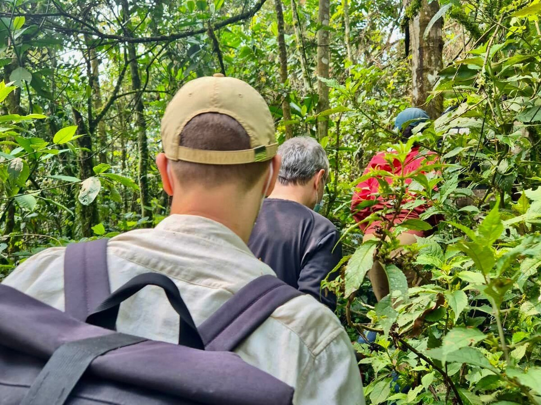 Mgahinga Gorilla National Park-Kisoro必去景点