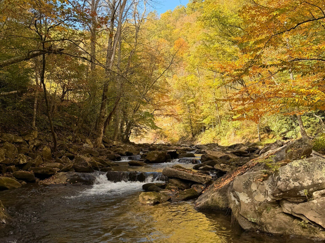 Brookings Anglers-Cashiers必去景点