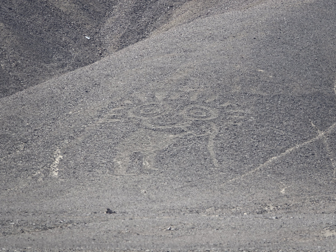 Geoglifos de Palpa-Palpa必去景点