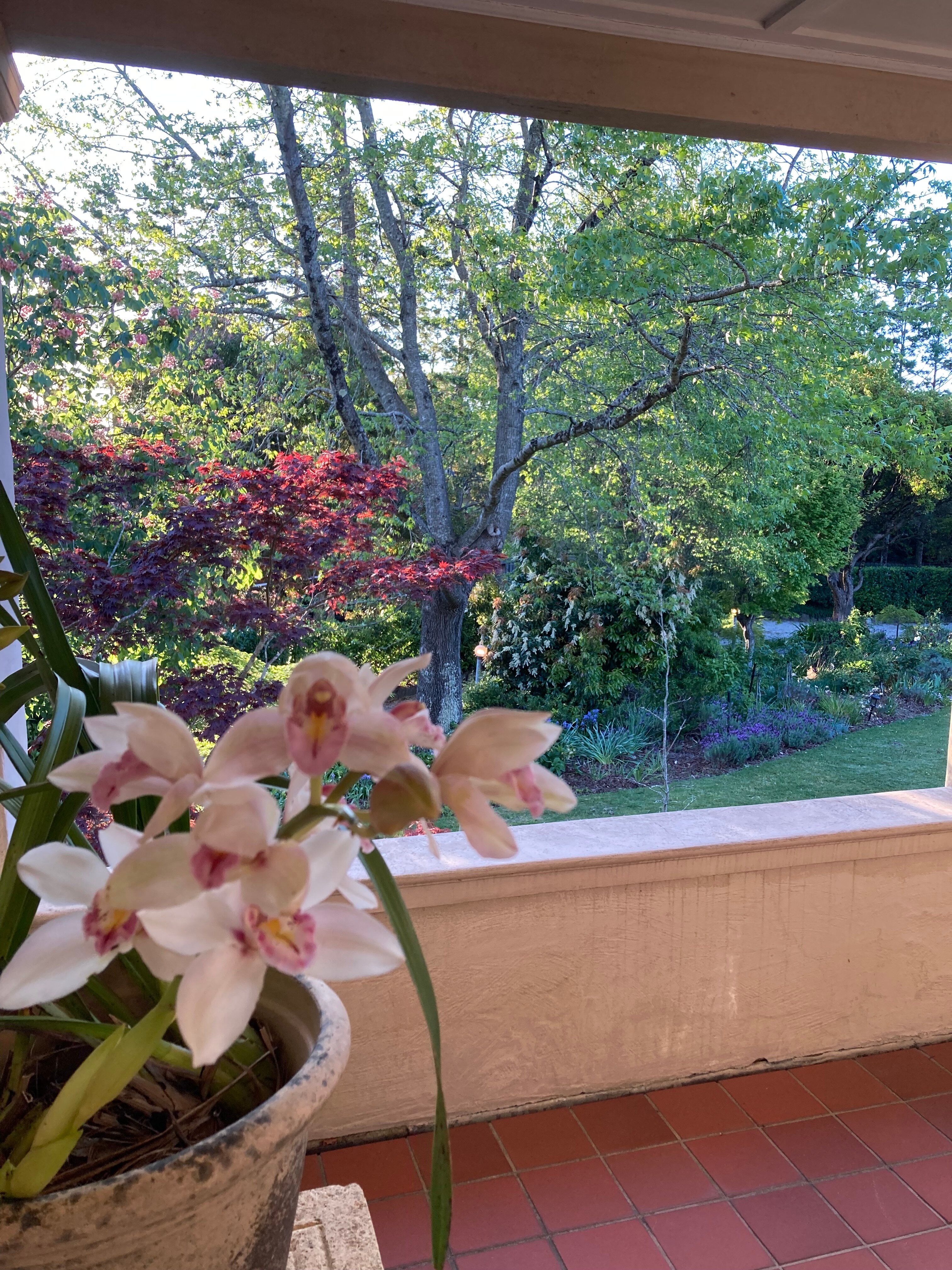 Silvermere Bed and Breakfast-官方