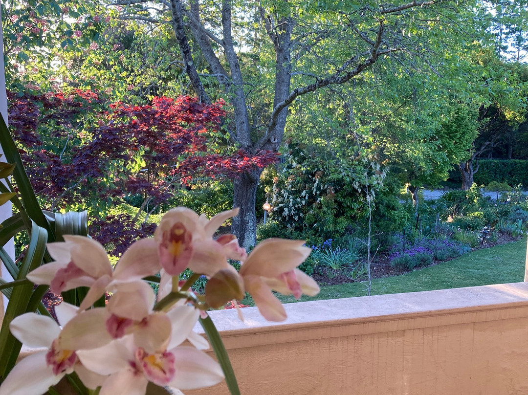 Silvermere Bed and Breakfast主图