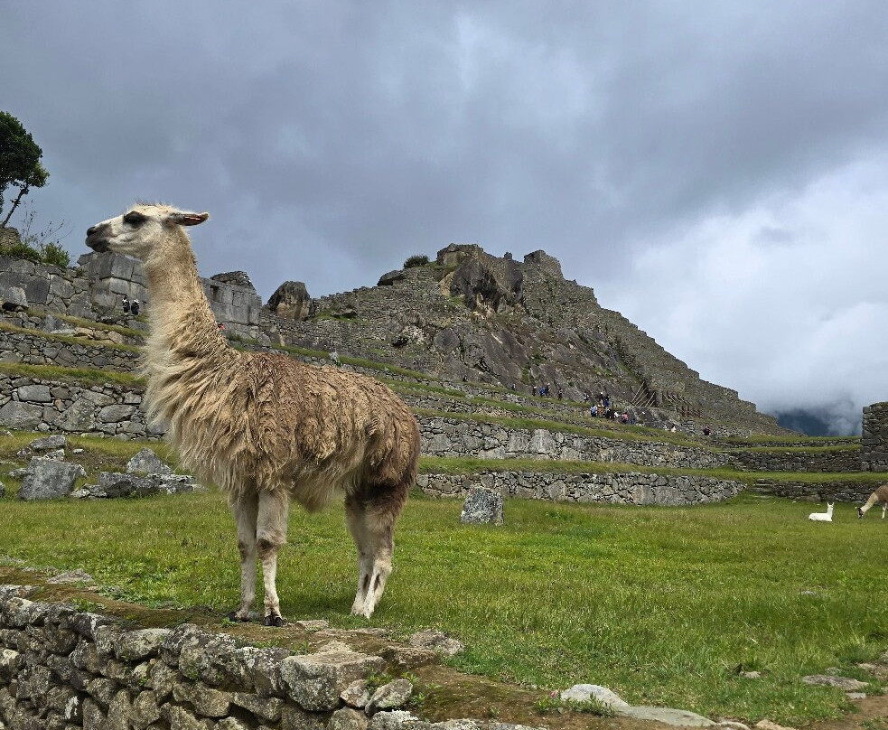 Nayra Travel  Agencia de Viajes y Tour operador-普诺大区必去景点