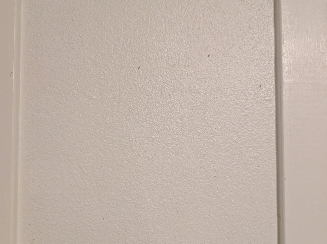 Margaritaville Lake Resort Lake Conroe主图