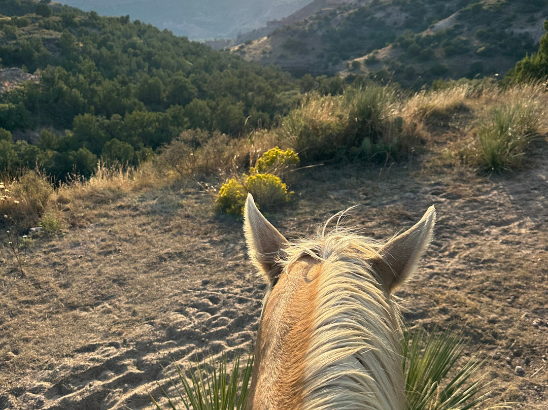 Cowgirls and Cowboys in the West-阿马里洛必去景点