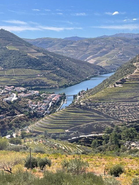 Mountain Travel Sobek-埃默里维尔必去景点