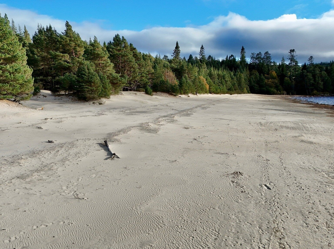 Ardverikie Estate-Kinlochlaggan必去景点