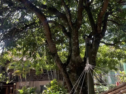 Recanto Alvorada Eco Resort主图