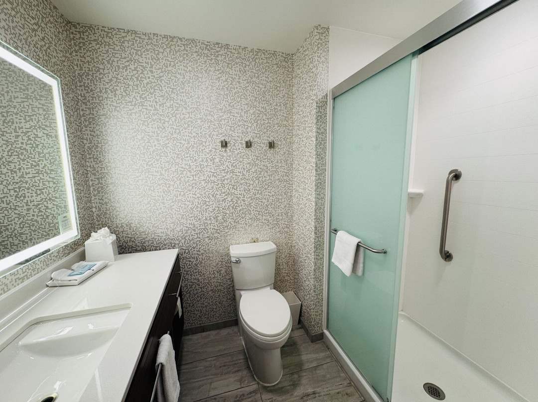 Home2 Suites by Hilton Alamogordo White Sands主图