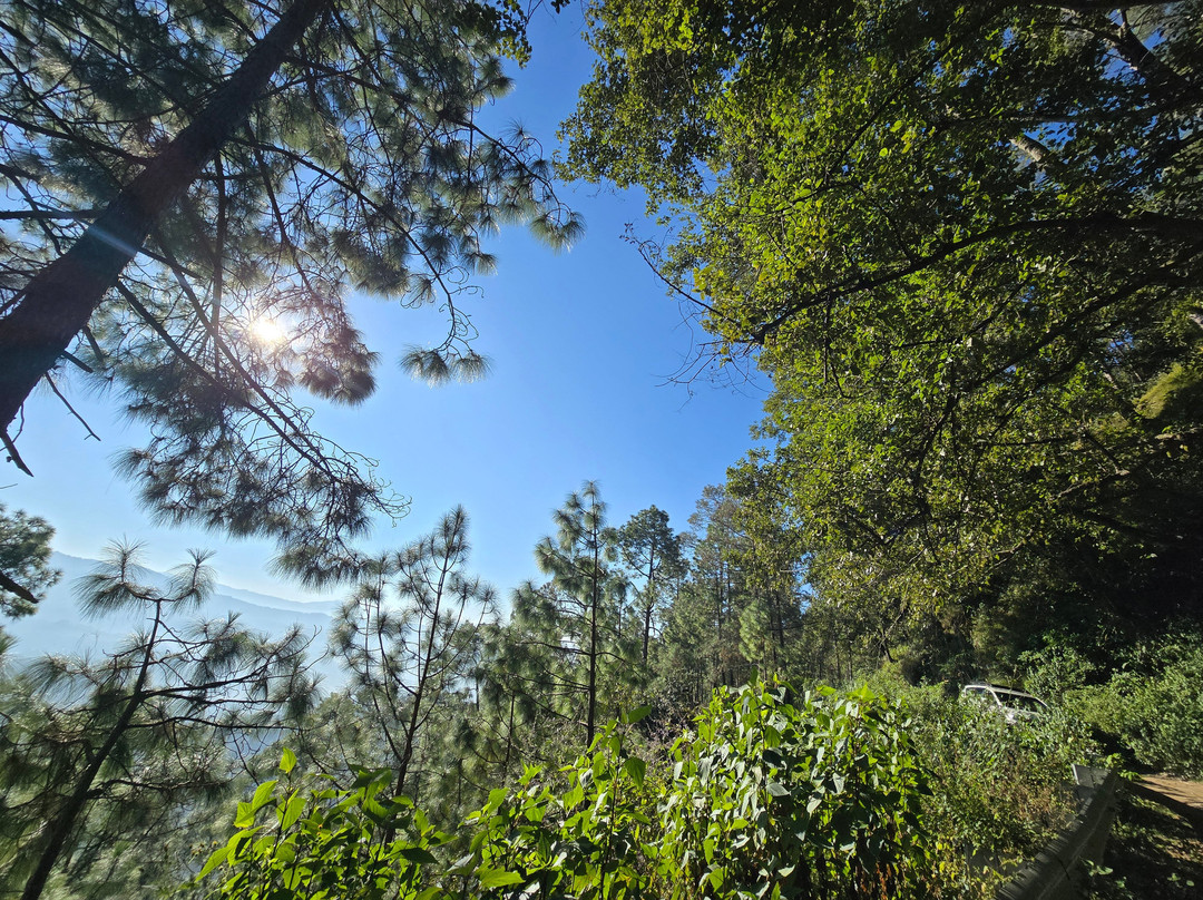 Binsar Wildlife Sanctuary-Binsar必去景点