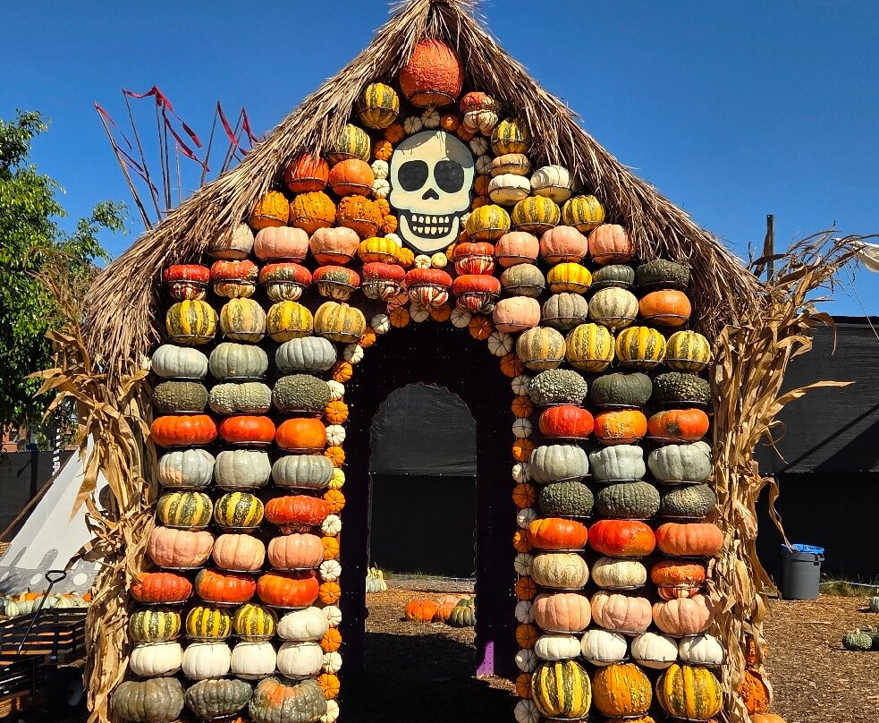 Mr. Bones Pumpkin Patch-卡尔弗城必去景点