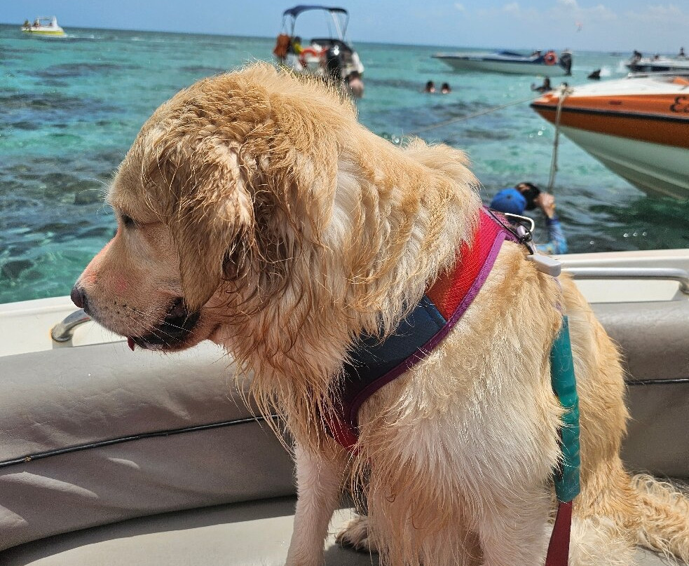 Praia De Rio Do Fogo
