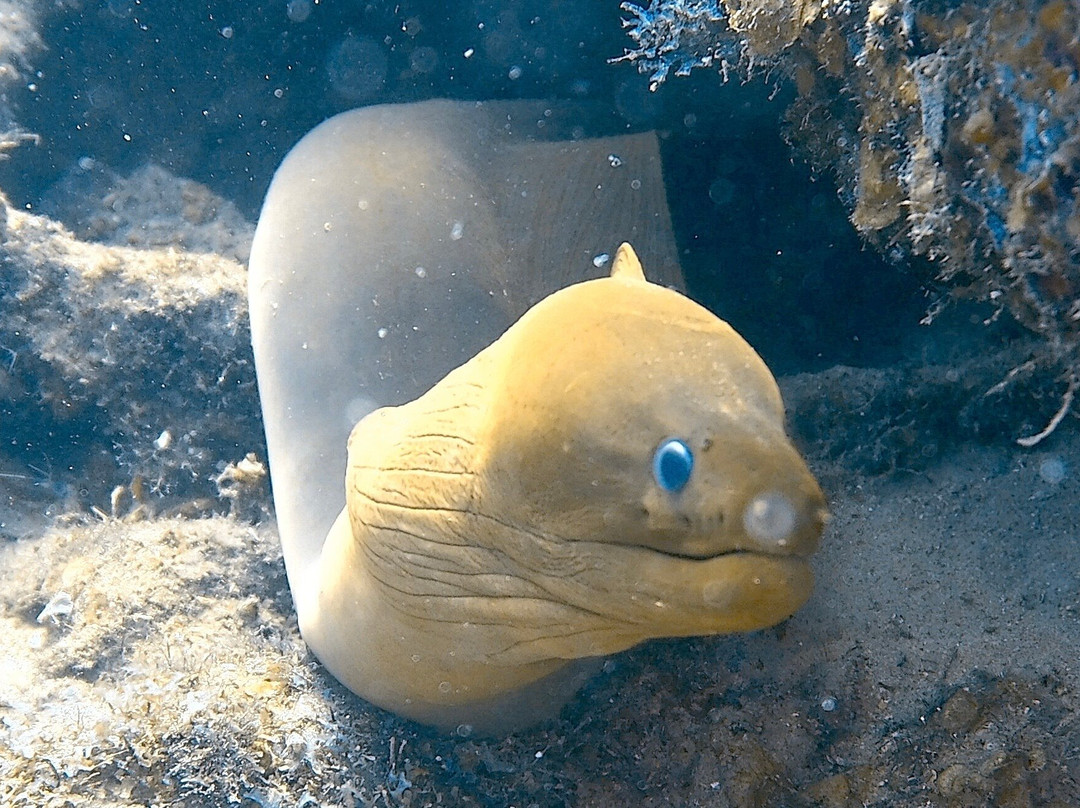 Palm Beach Divers-Noord必去景点