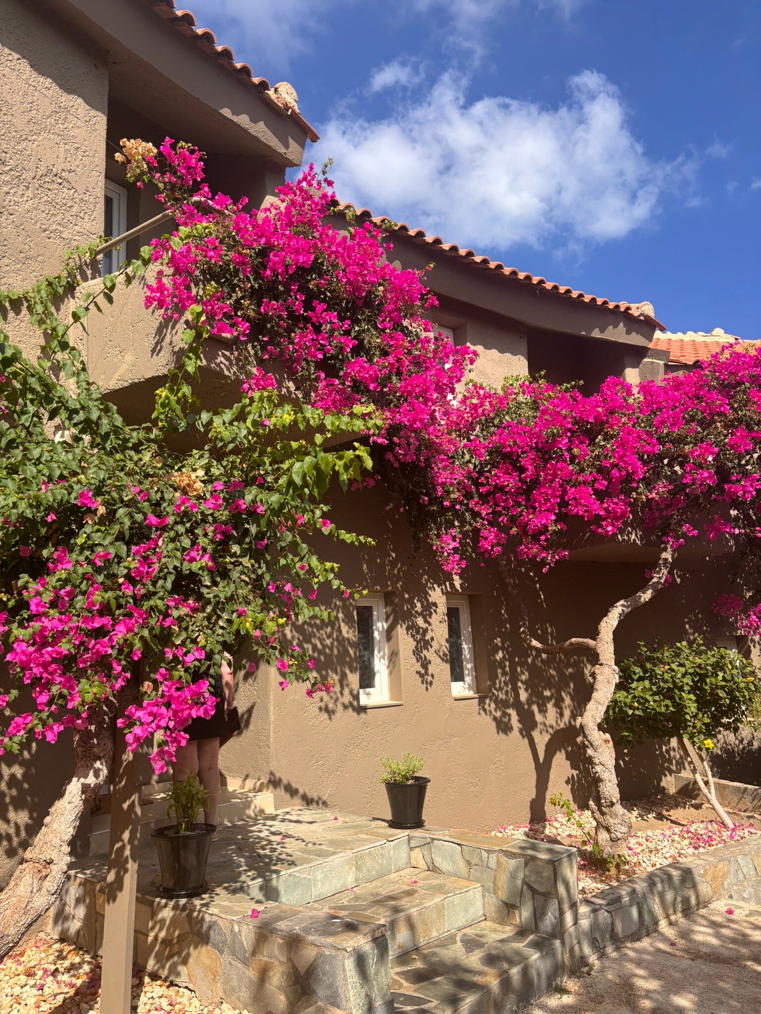 Paradise Island Villas-官方