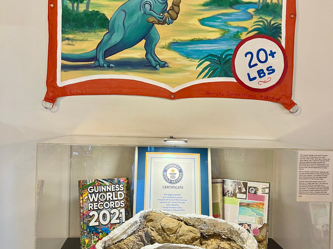 Poozeum-威廉姆斯必去景点