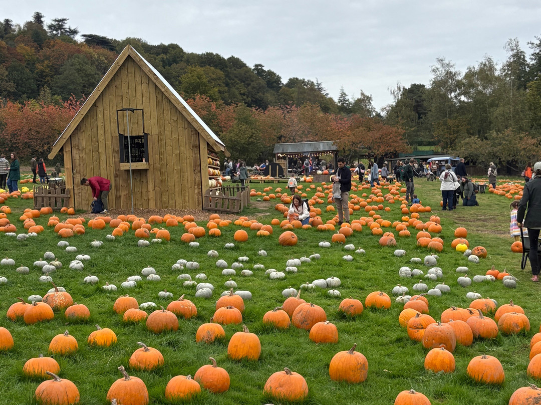 Discovery Land at Priory Farm-Nutfield必去景点