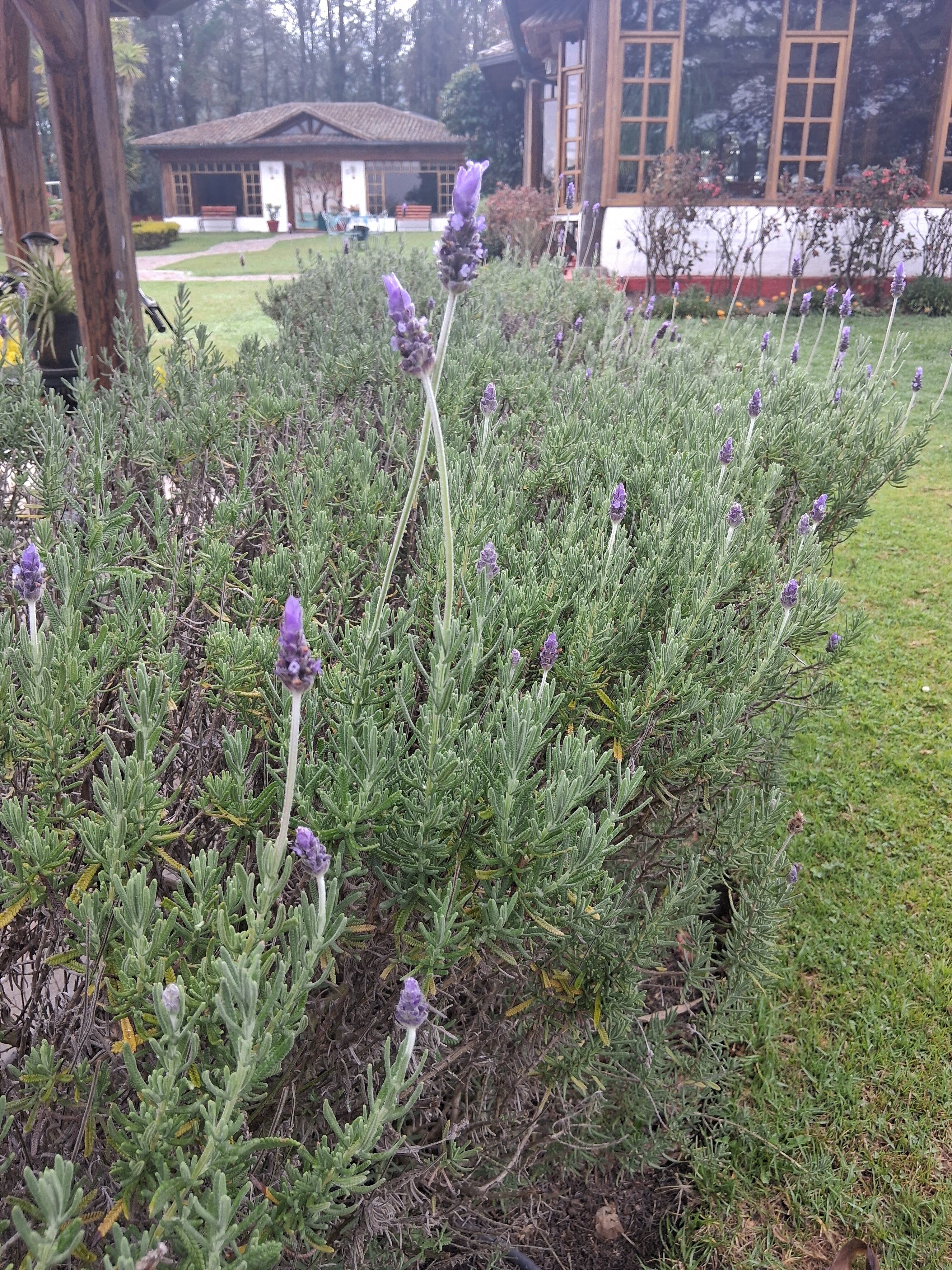 Casa de Campo Tababela Hotel Boutique-官方