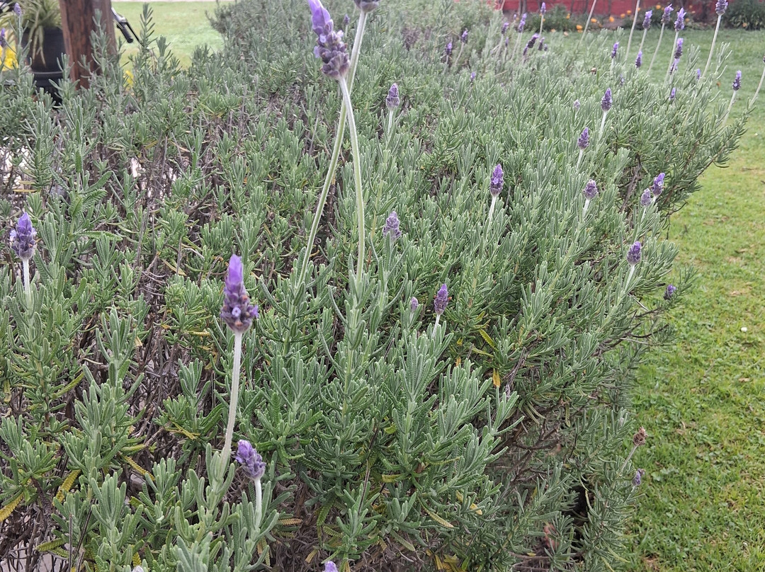 Casa de Campo Tababela Hotel Boutique主图