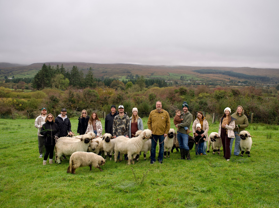 Wild Atlantic Sheep Walks-Tobercurry必去景点