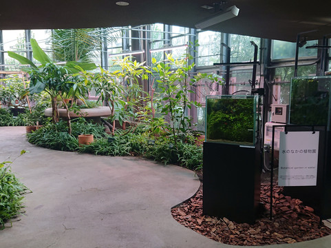 Shibuya Fureai Botanical Center-涩谷区必去景点