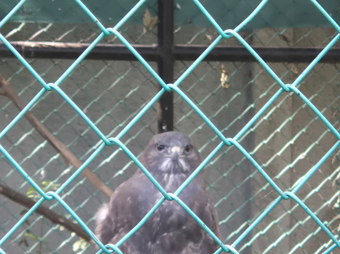 Bucharest Zoo-布加勒斯特必去景点