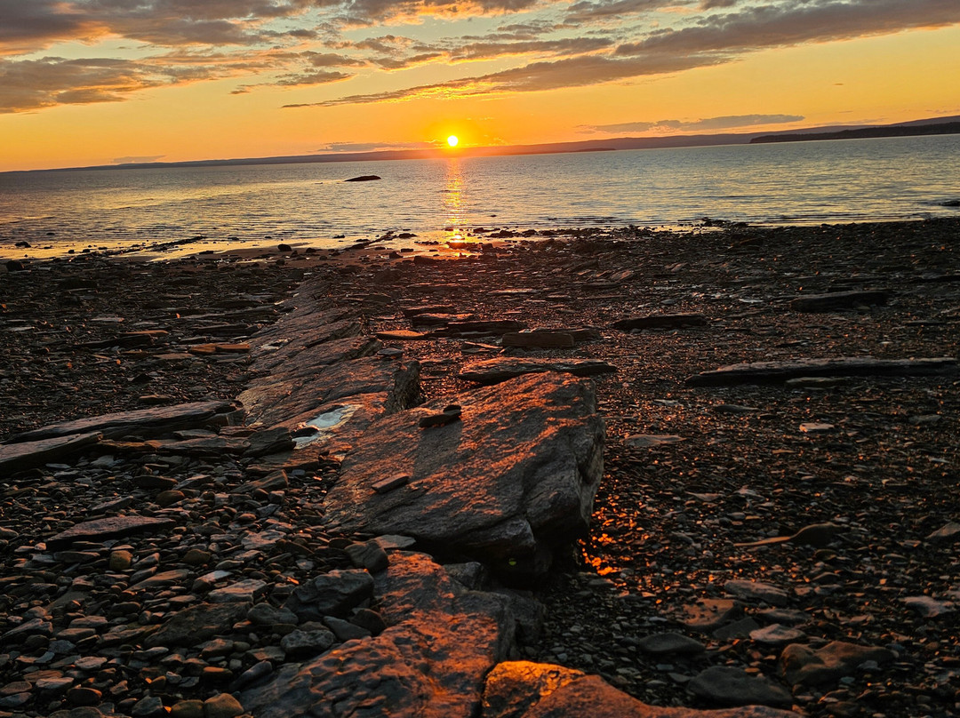 Joggins Fossil Cliffs And Centre-Joggins必去景点