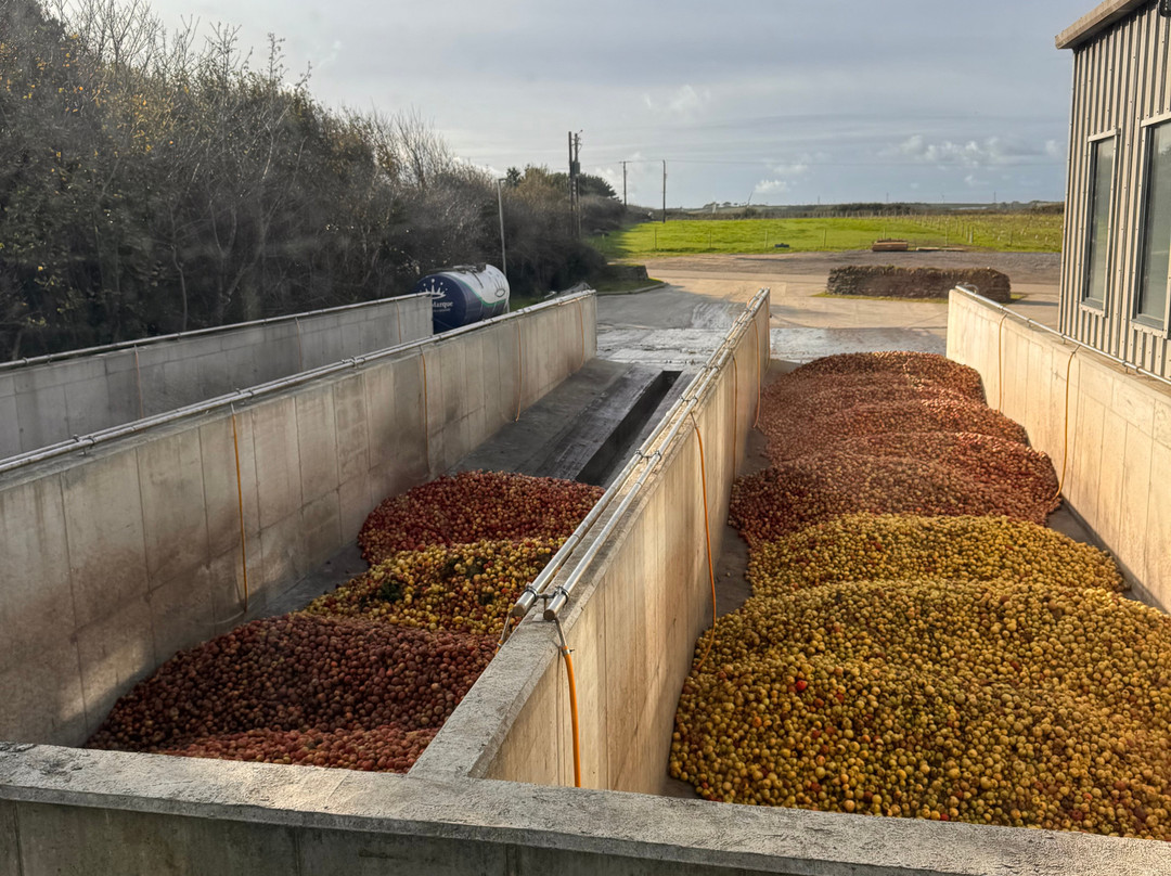 Healeys Cornish Cyder Farm-Penhallow必去景点