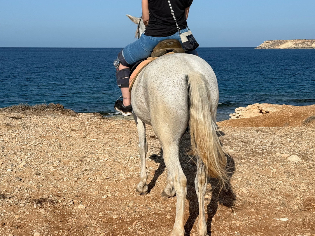 George's Ranch-Peyia必去景点