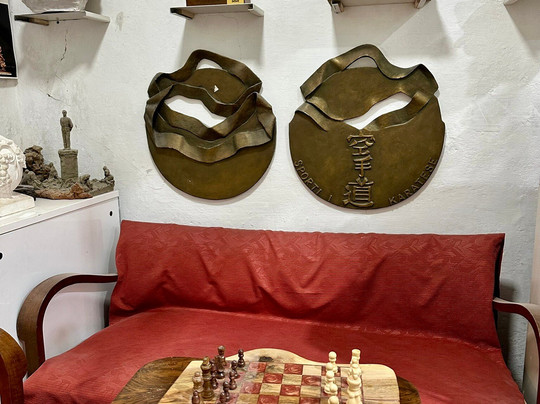 Art Museum Thanas Papa-地拉那必去景点