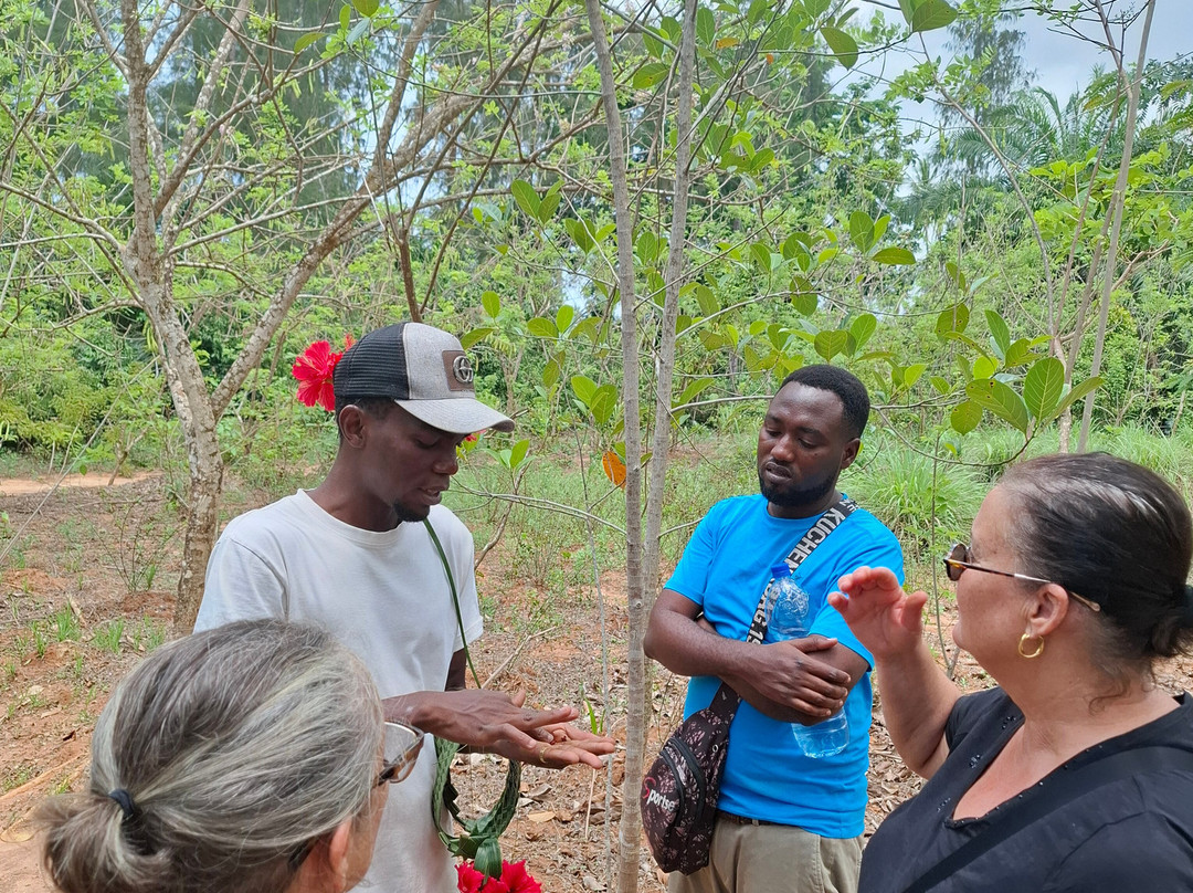 Bravo Zanzibar Travel-桑给巴尔市必去景点