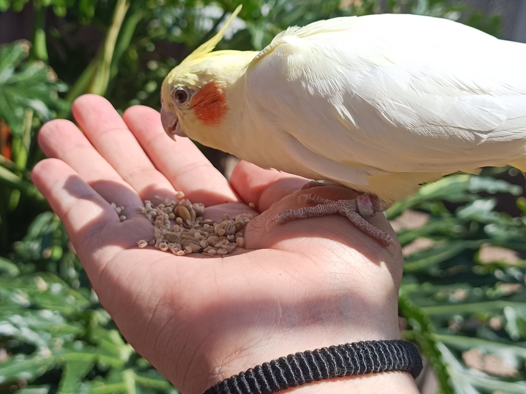 Acuario Michin Guadalajara-瓜达拉哈拉必去景点