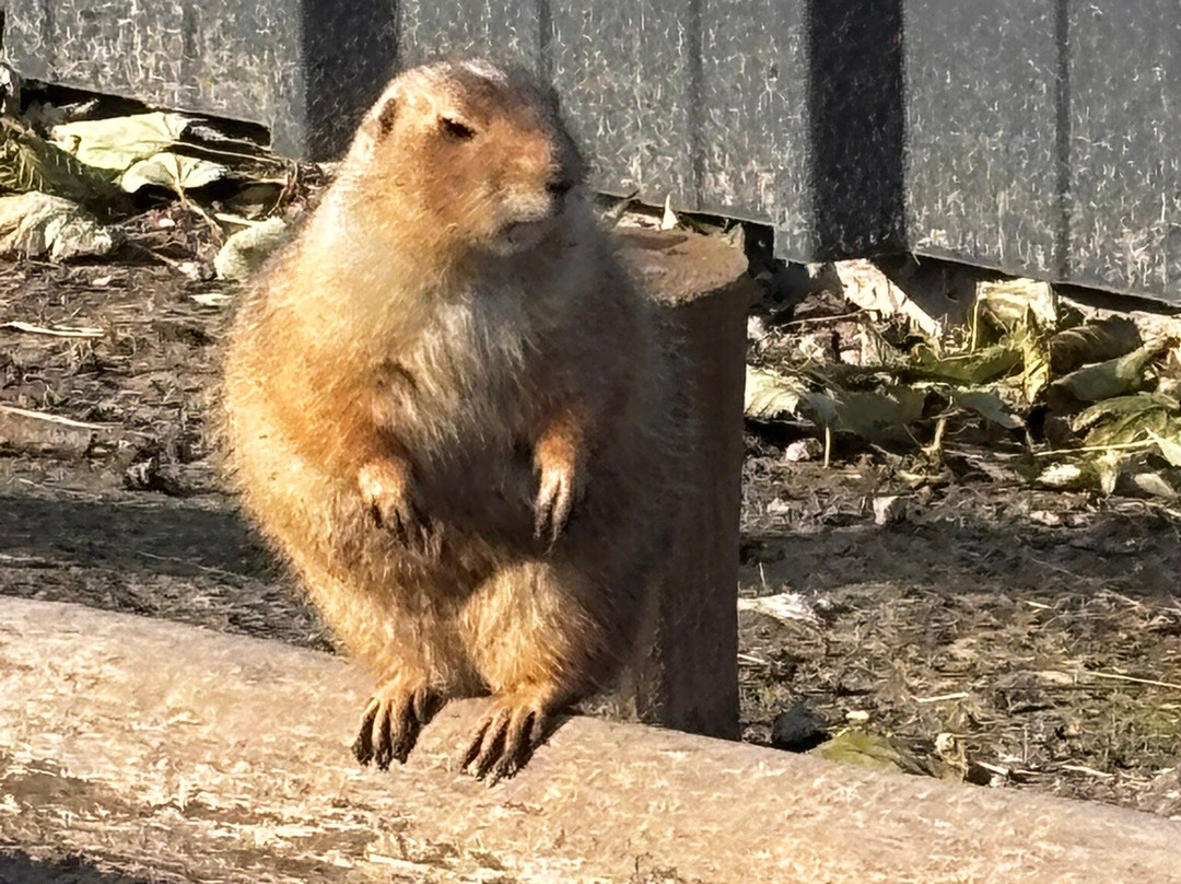 Bio-topia-敦克尔克必去景点