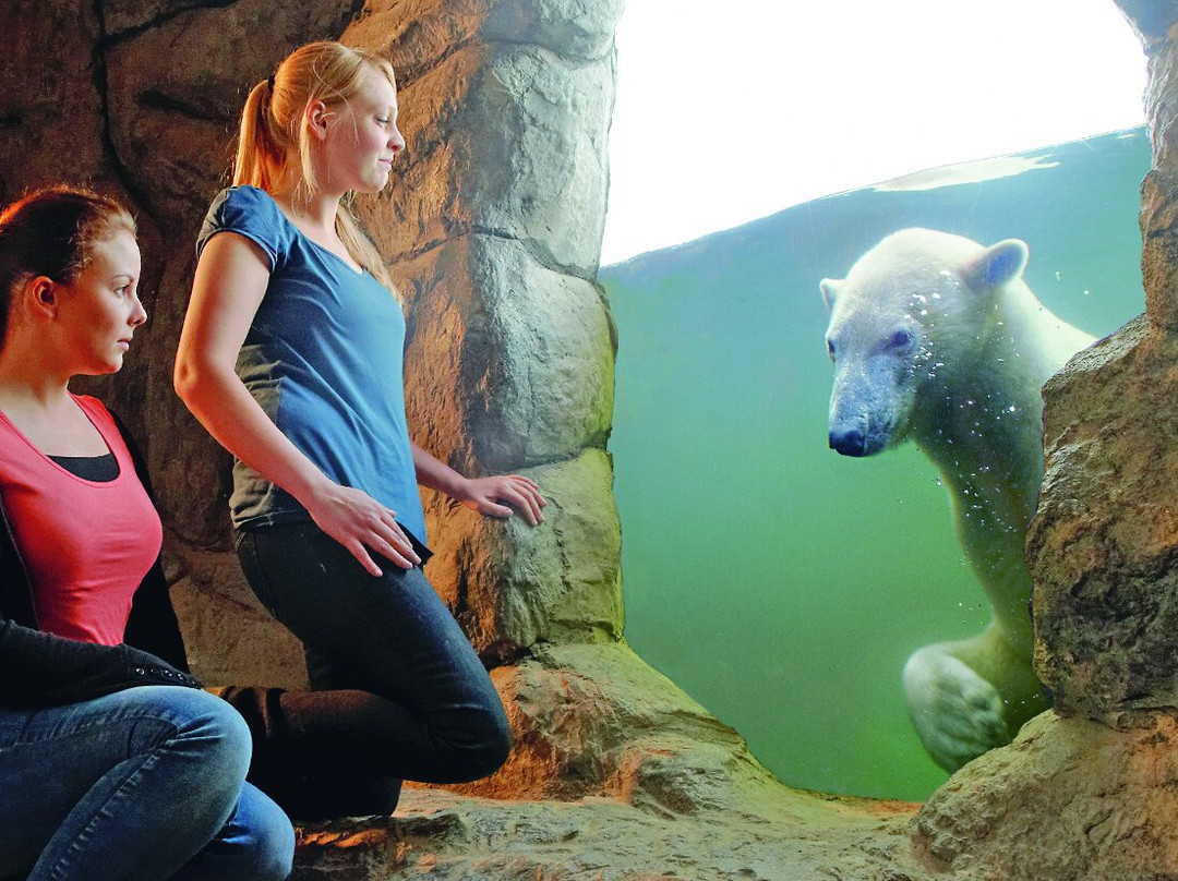 ZOOM Erlebniswelt_Official Site-Gelsenkirchen必去景点