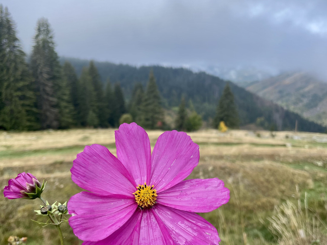 TREK BALKAN LLC-普里什蒂纳必去景点