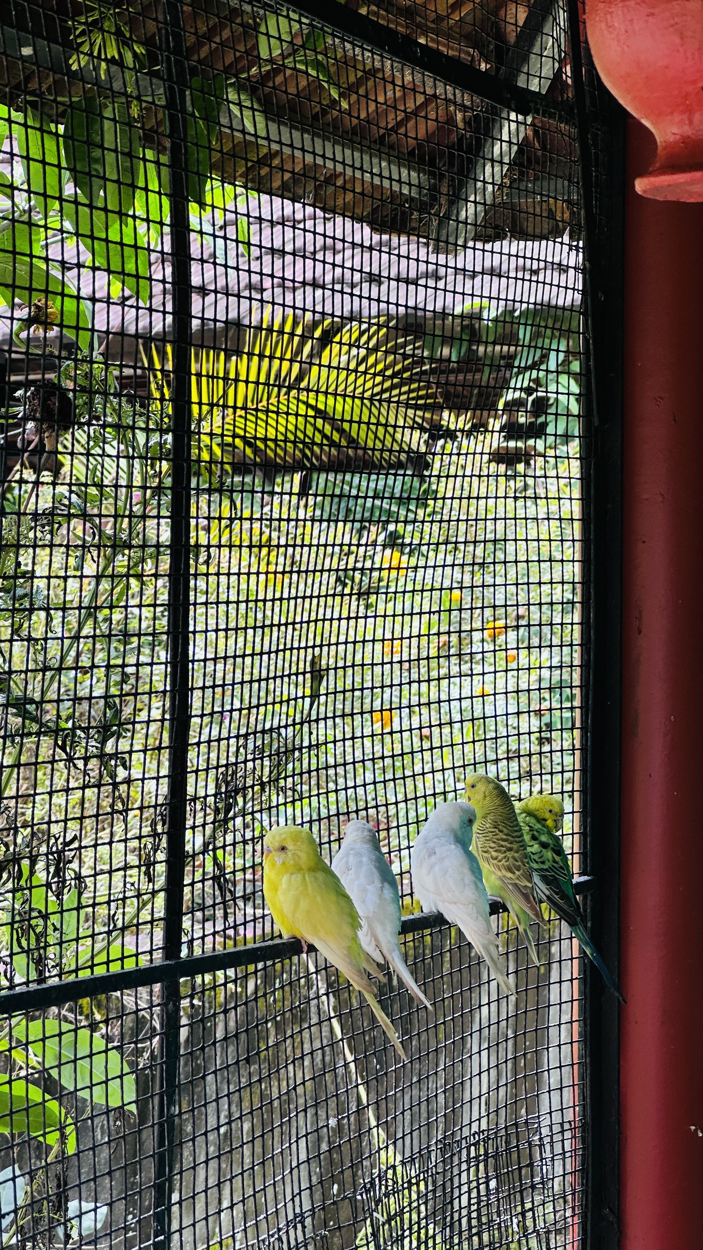 Enteveedu Homestay-家庭/游戏区