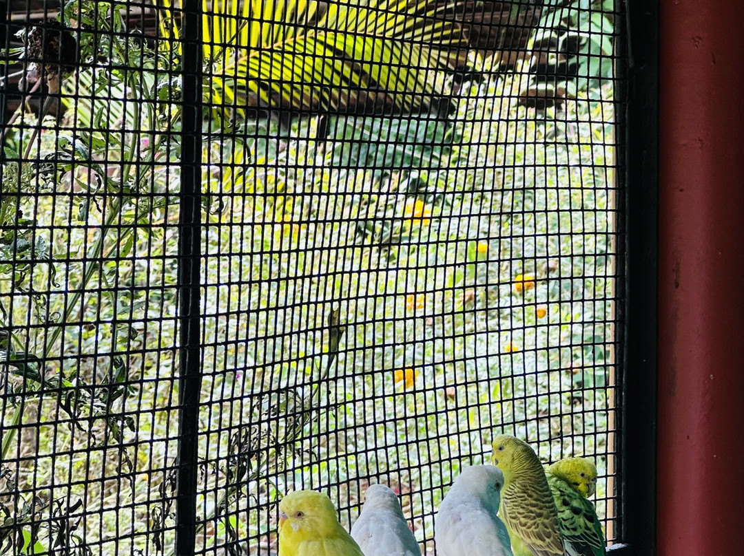 Enteveedu Homestay主图