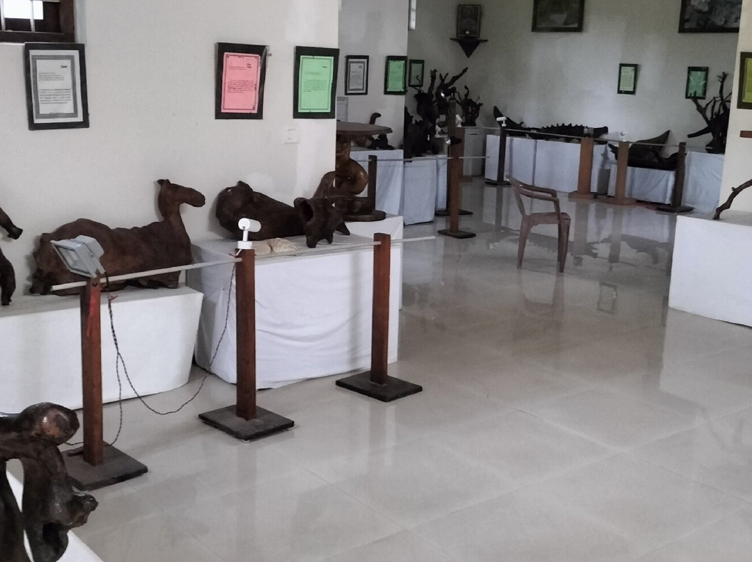 Bay Island Driftwood Museum-科塔亚姆必去景点