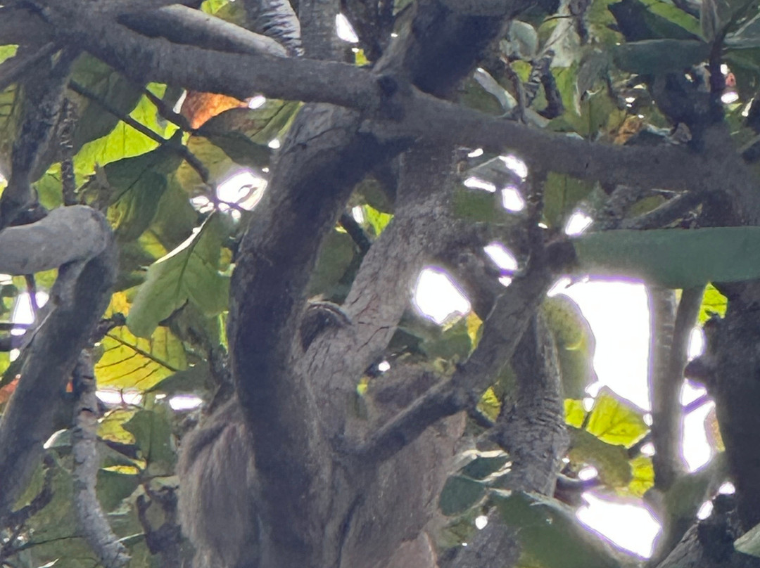 Retire in Panama Tours | Move to Panama | Panama Relocation Experts-波魁特必去景点