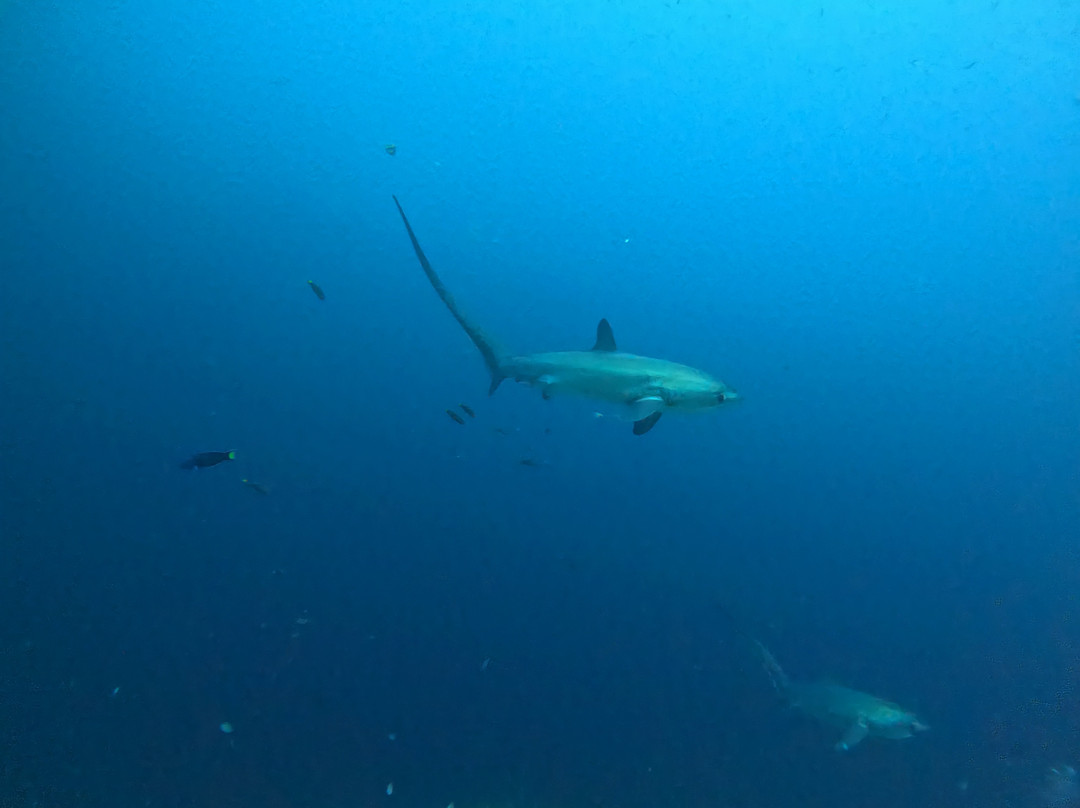 Mbi Divecenter-妈妈拍丝瓜岛必去景点