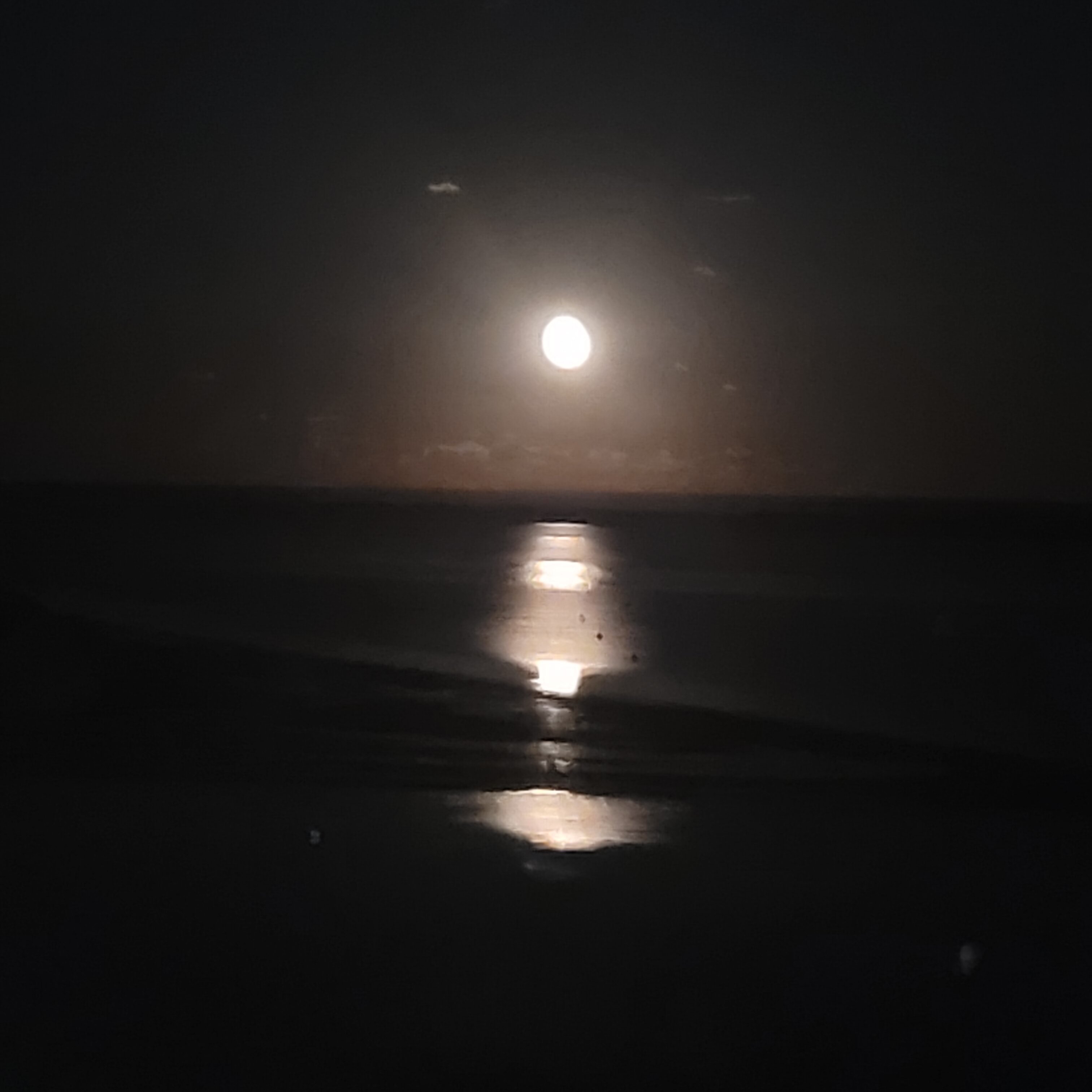 Chatham Bars Inn-官方