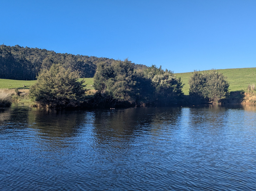 Leven River Cruises-Ulverstone必去景点