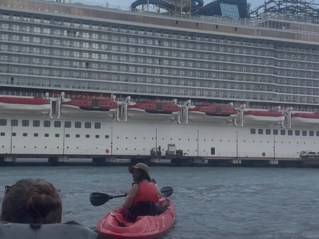 Curaçao Rif Mangrove Park-威廉斯塔德必去景点