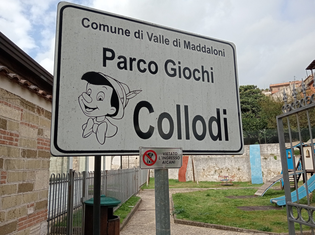 Parco Giochi Comunale Collodi-Valle di Maddaloni必去景点