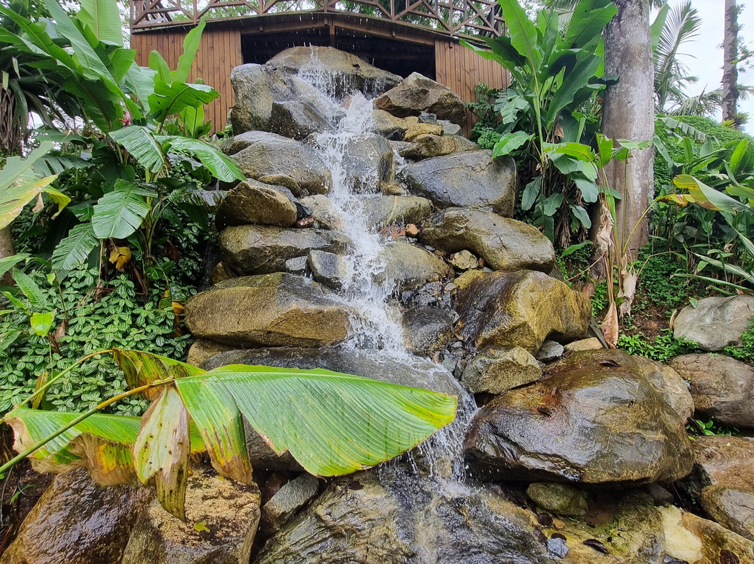 Spitz Pomer-Pomerode必去景点