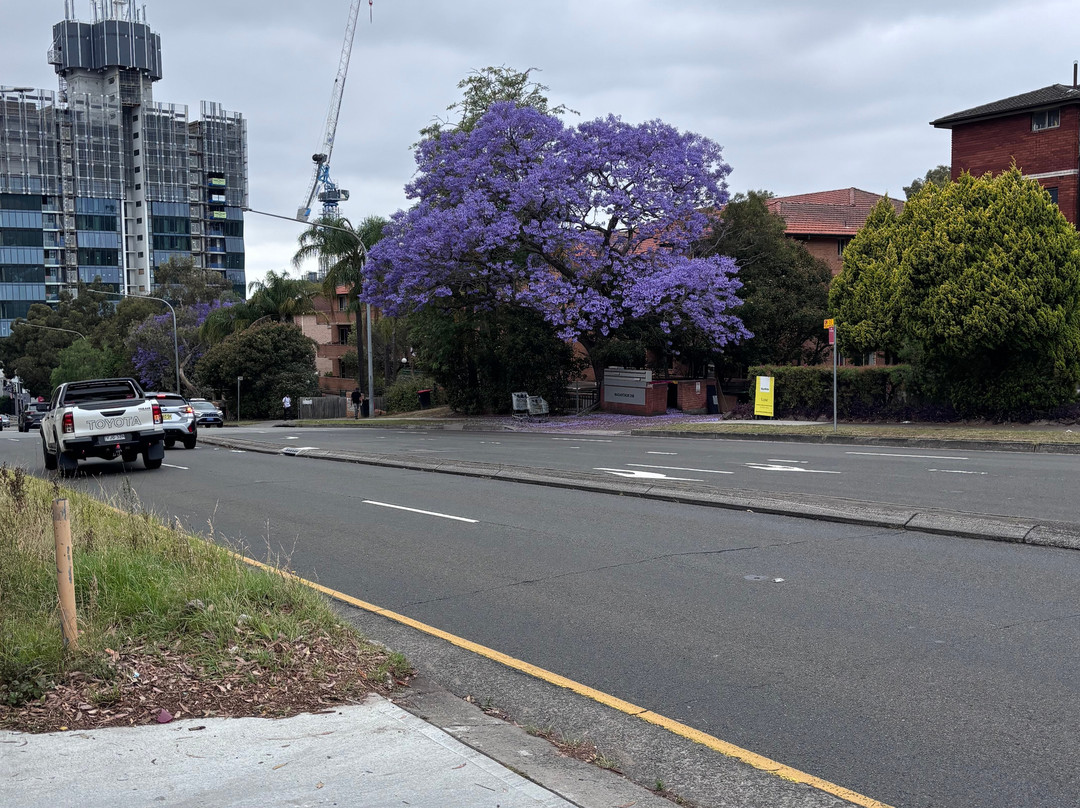 公园号角酒店主图